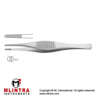 Strassburger Modell Dissecting Forceps 1 x 2 Teeth Stainless Steel, 15 cm - 6"  Strassburger Modell Dissecting Forceps 1 x 2 Teeth Stainless Steel, 15 cm - 6"